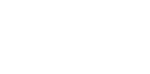 logo-ns-white logo-ns-white